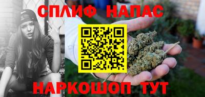 гидра Краснознаменск