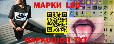 гидра Краснознаменск