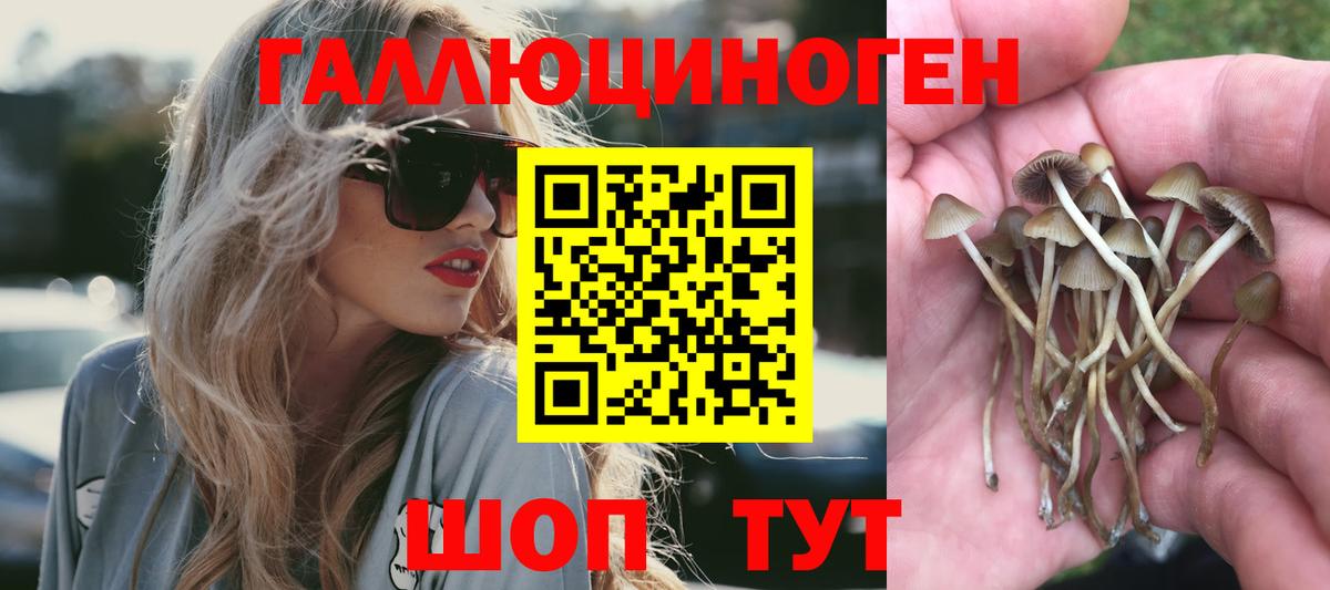 Меф мяу мяу Касимов