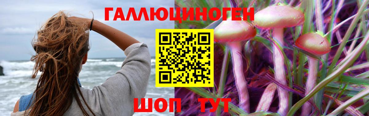 Касимов  Псилоцибиновые грибы GOLDEN TEACHER  Вход с VPN 
